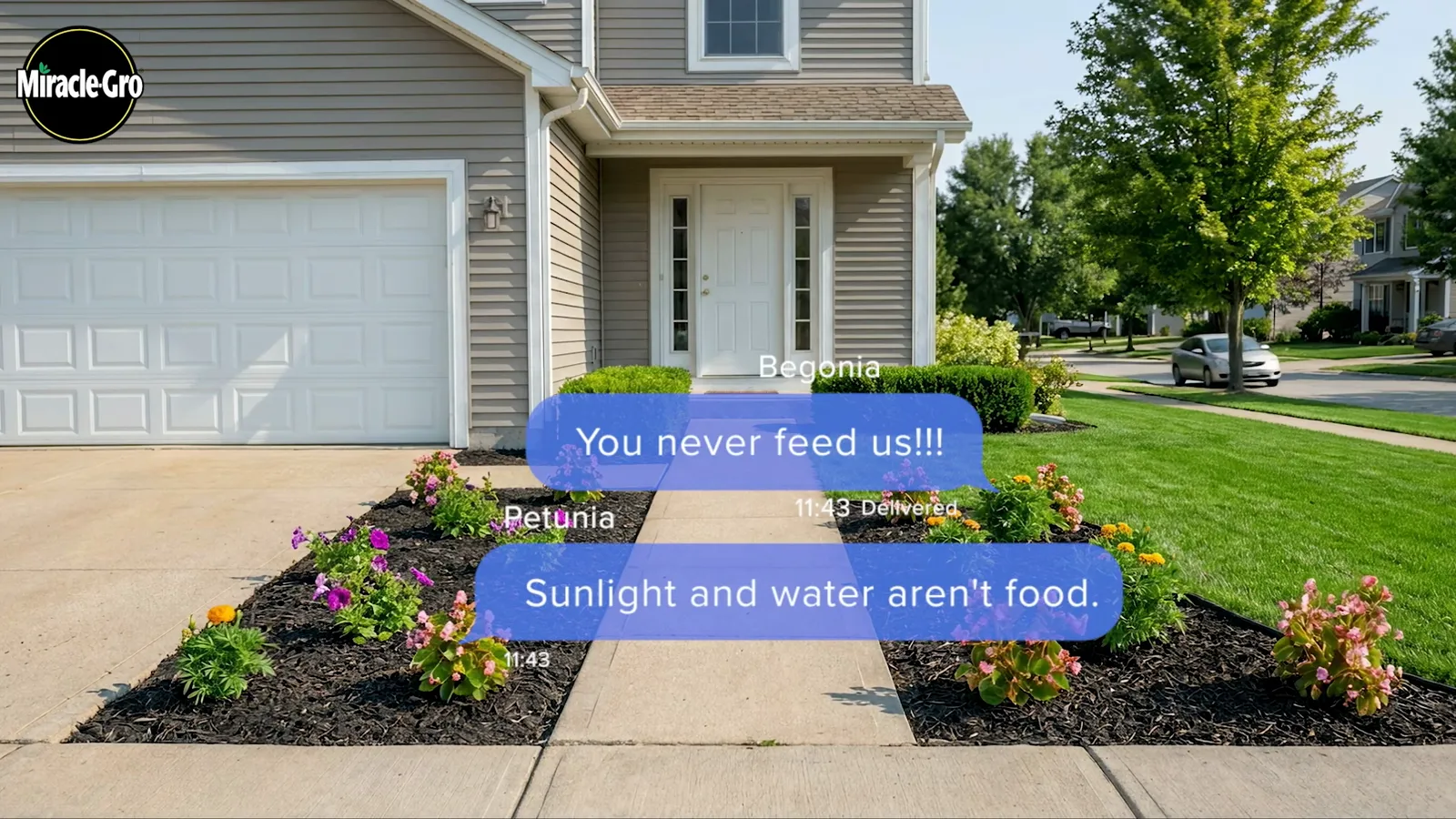 What Your Plants Are Saying, Miracle-Gro · MindShape